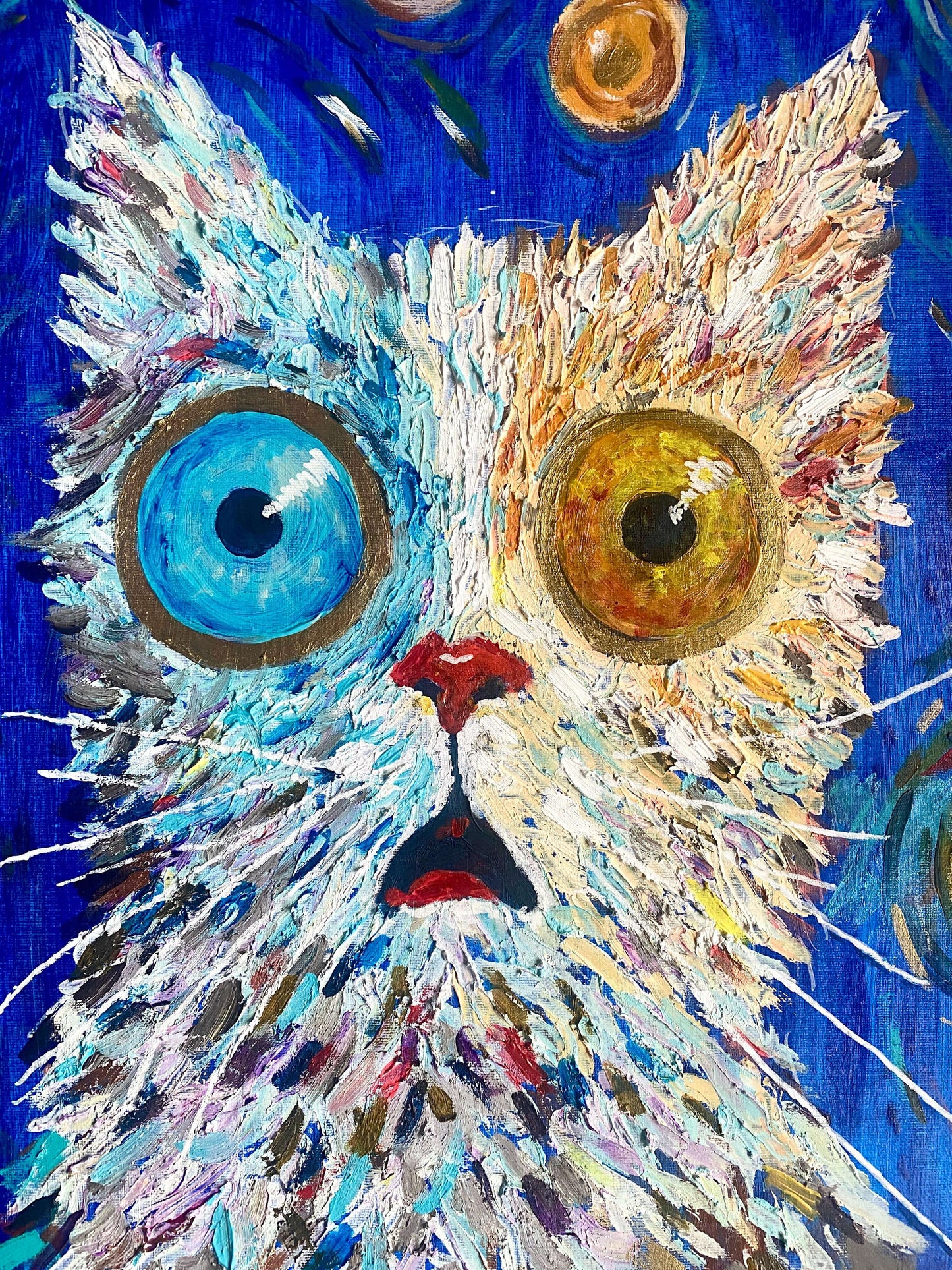 Feline Universe
