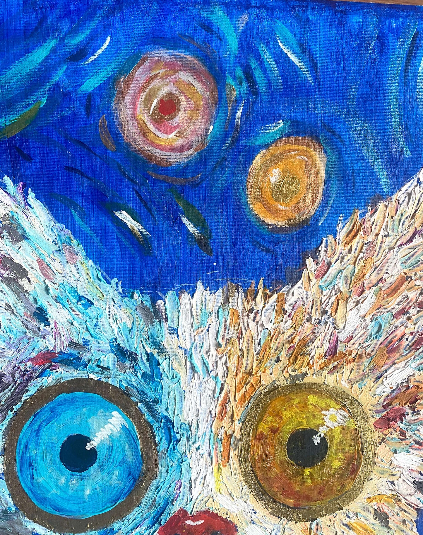 Feline Universe
