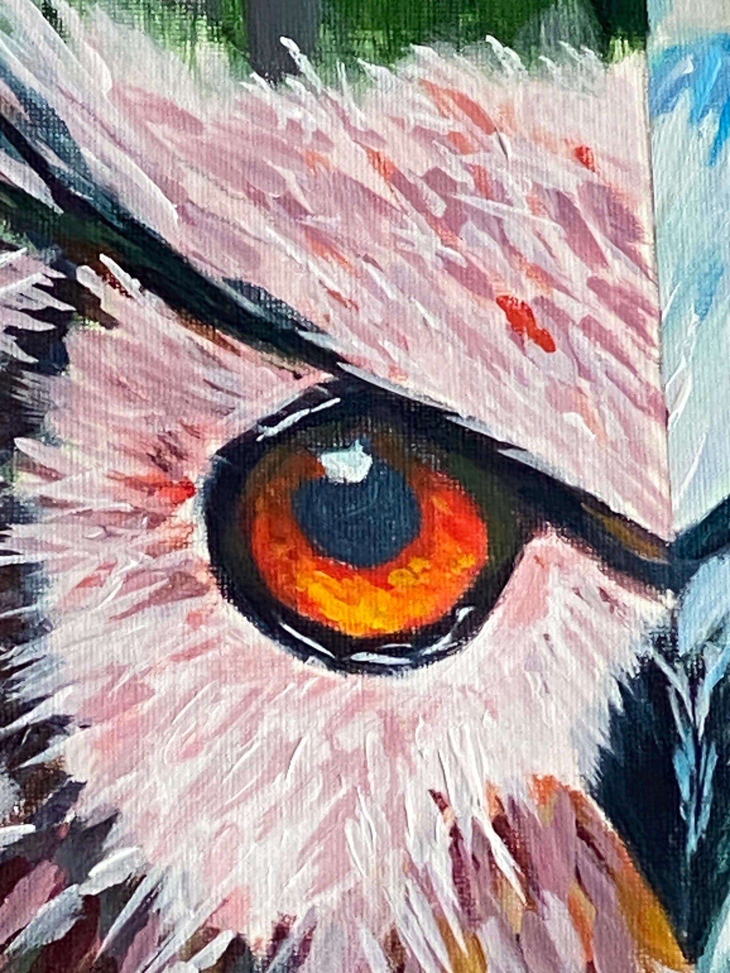 Ojos que nunca duermen – Búho