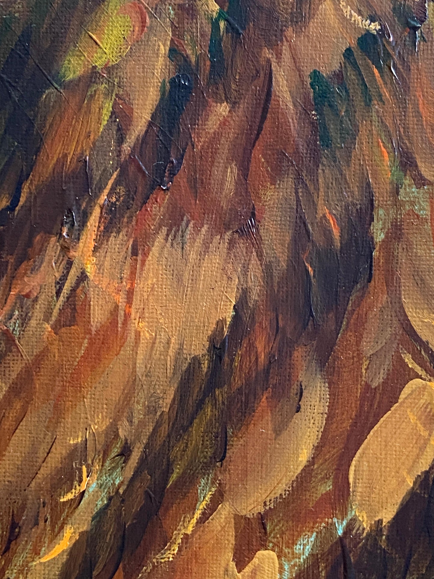 BEAR: WILD DUALITY