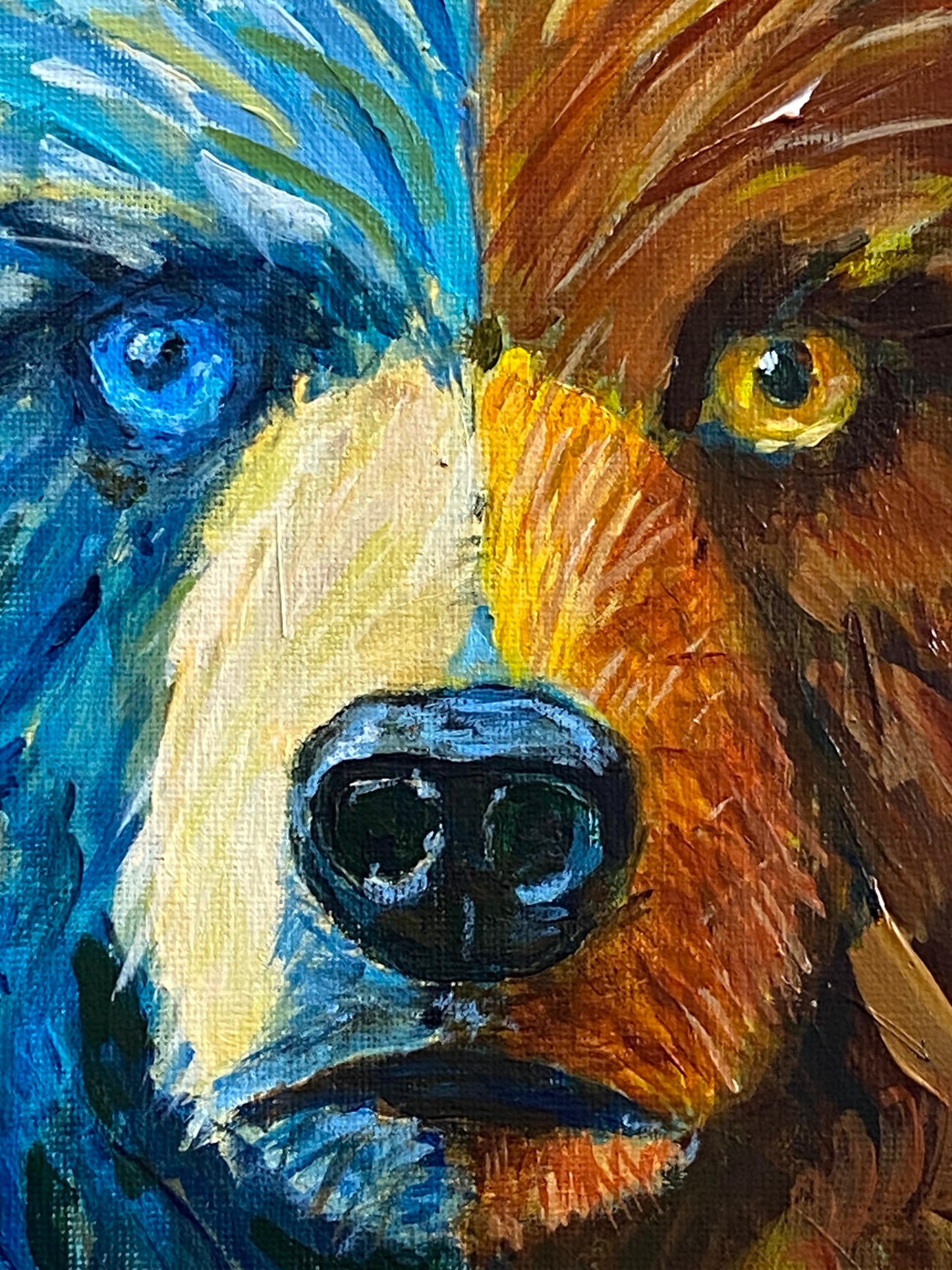 BEAR: WILD DUALITY