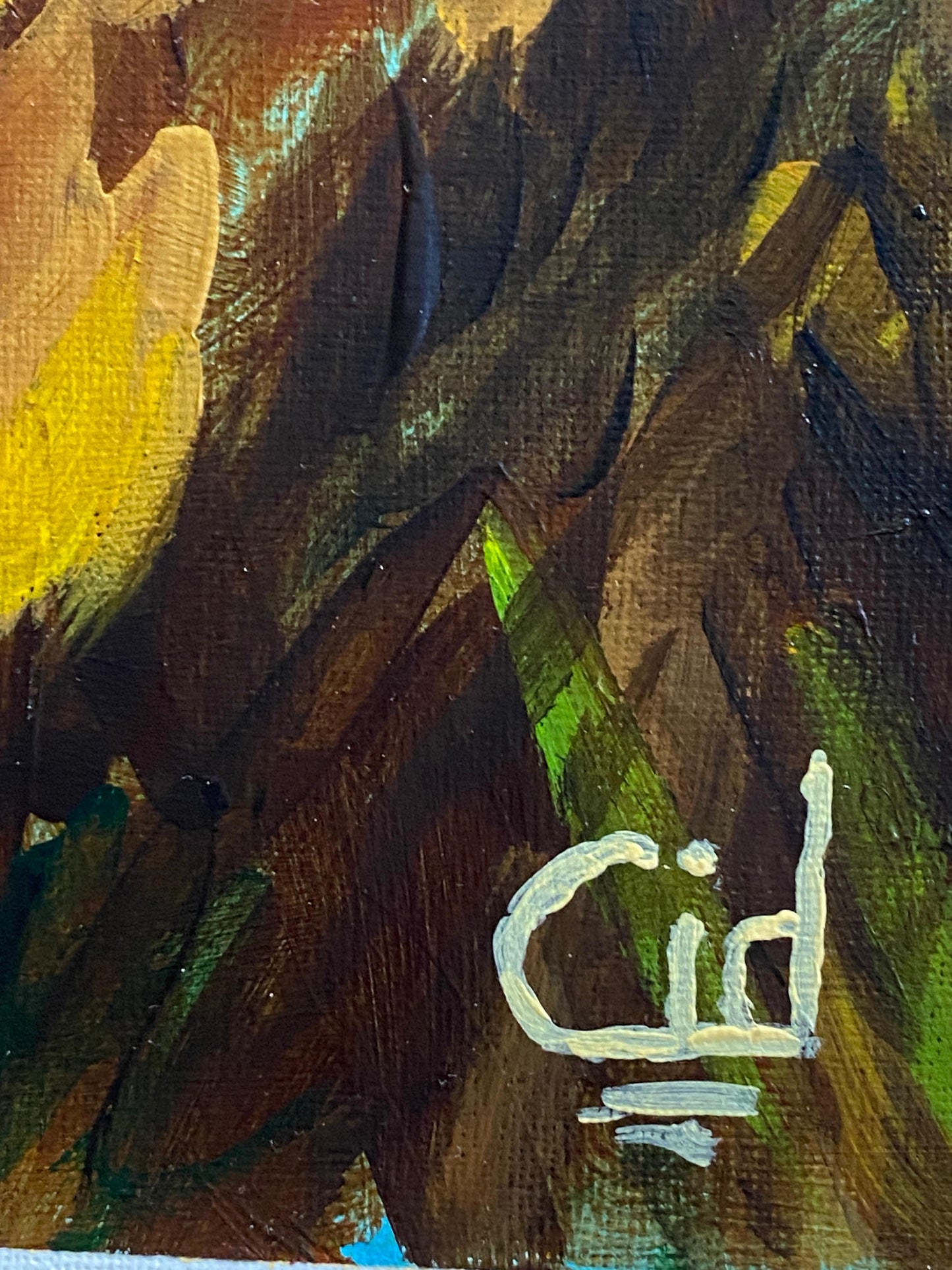 BEAR: WILD DUALITY