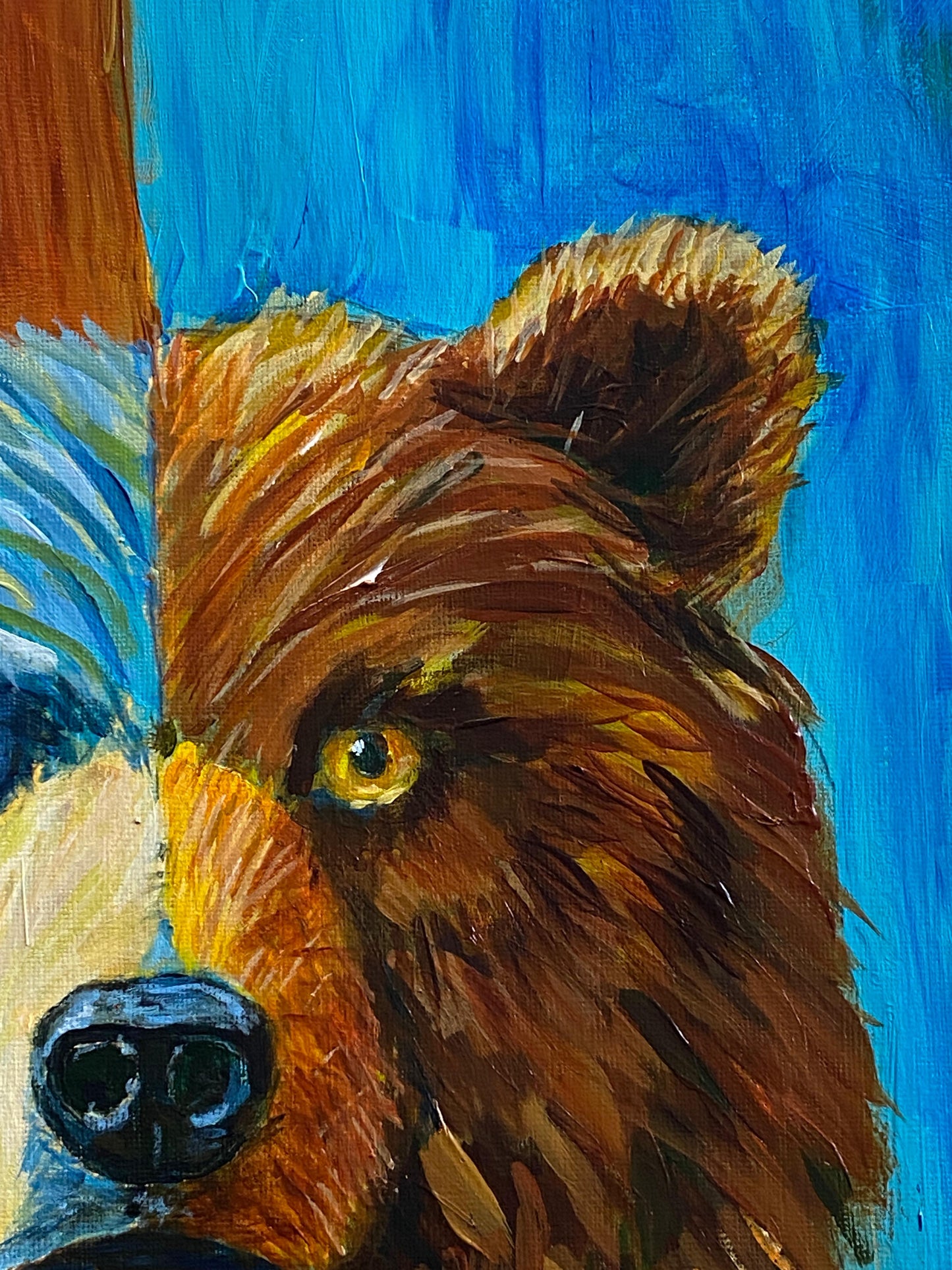 BEAR: WILD DUALITY