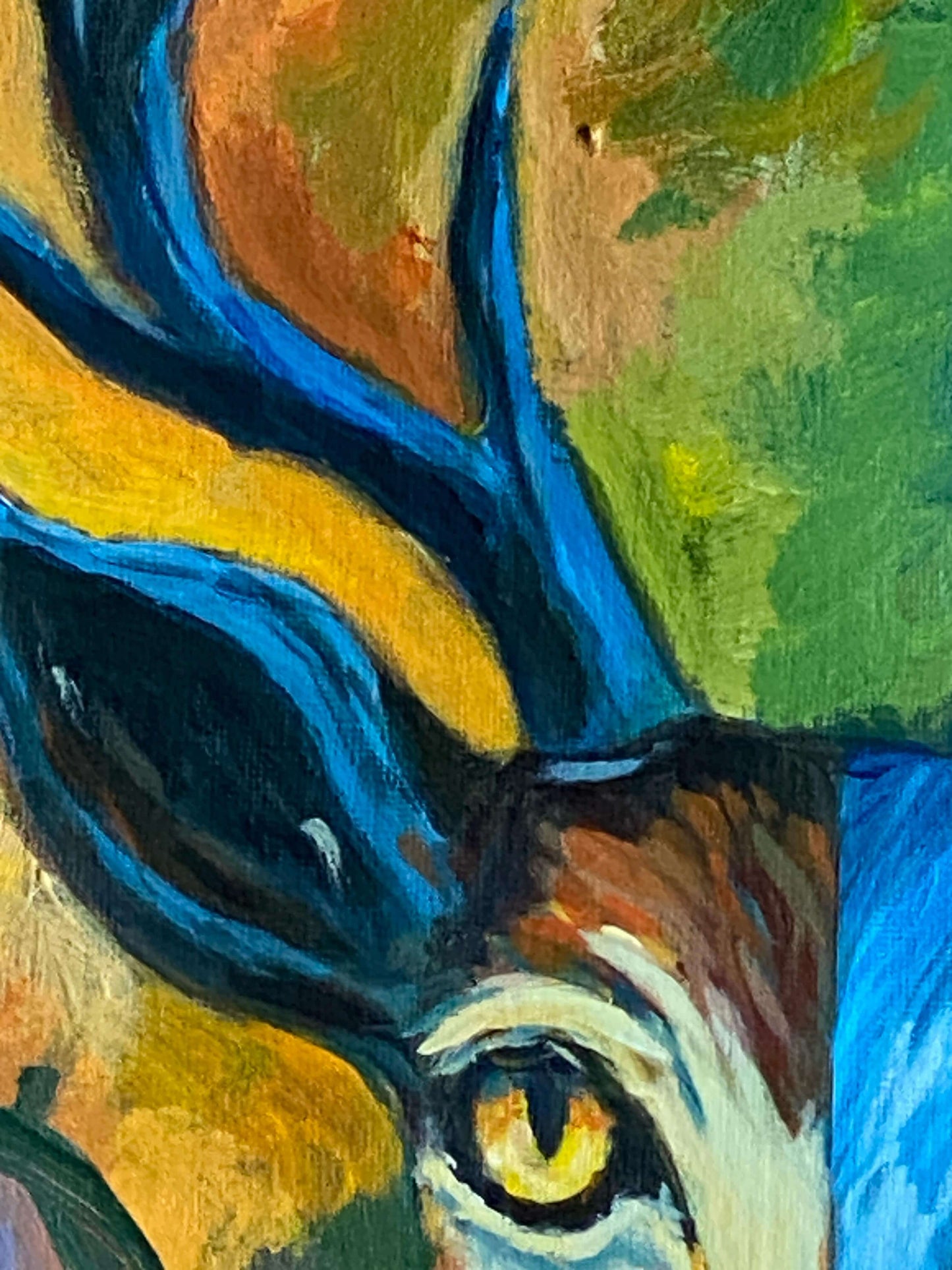 Ojos del bosque – Ciervo