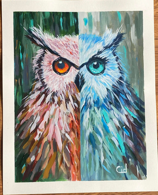Eyes That Never Sleep – Owl