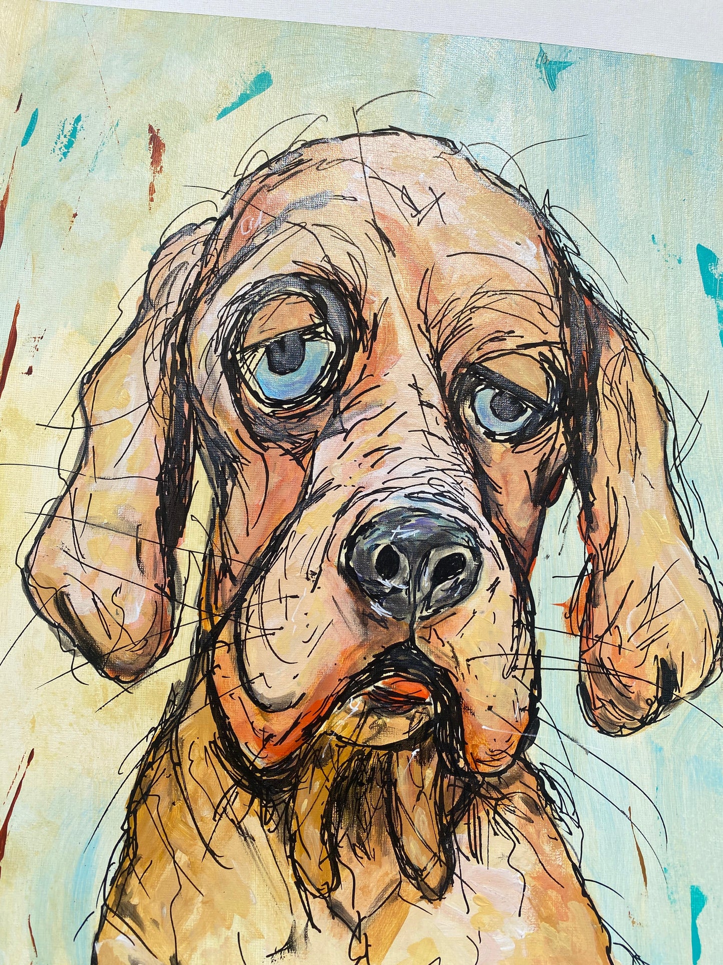 PERRO - El alma gentil