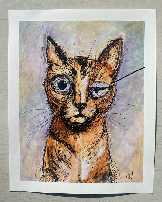Gato: Maestro Irónico