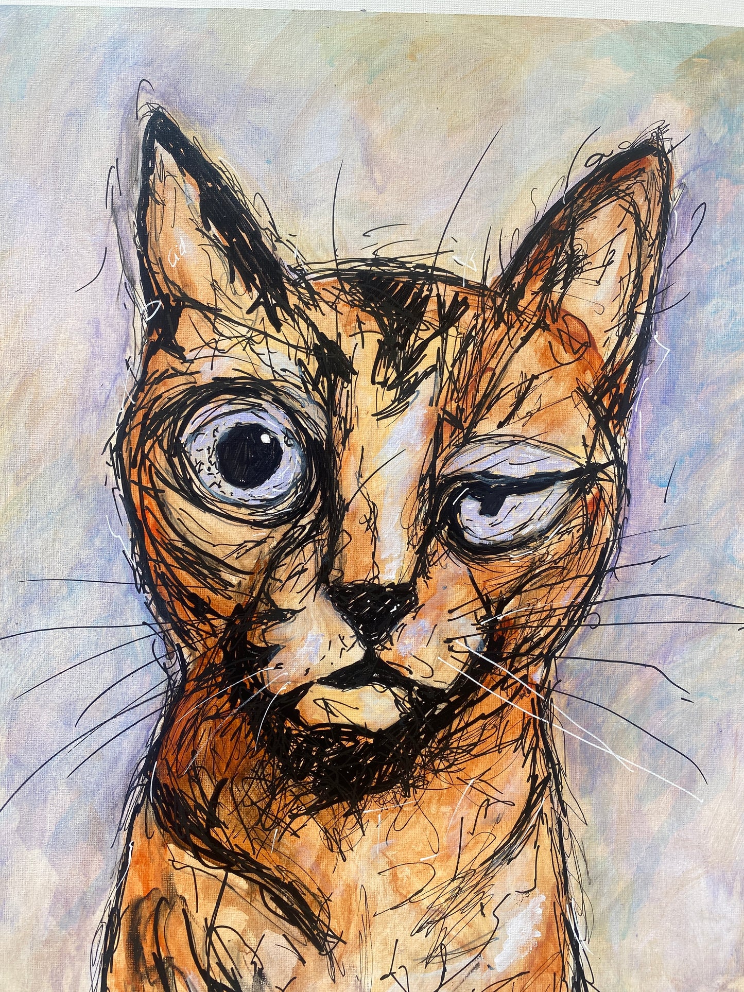 Gato: Maestro Irónico