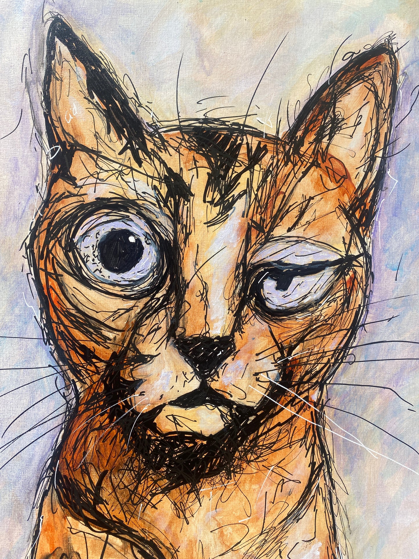 Gato: Maestro Irónico
