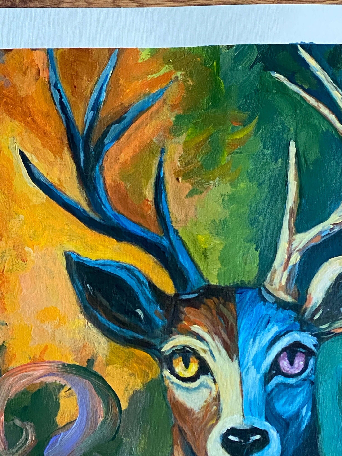 Ojos del bosque – Ciervo