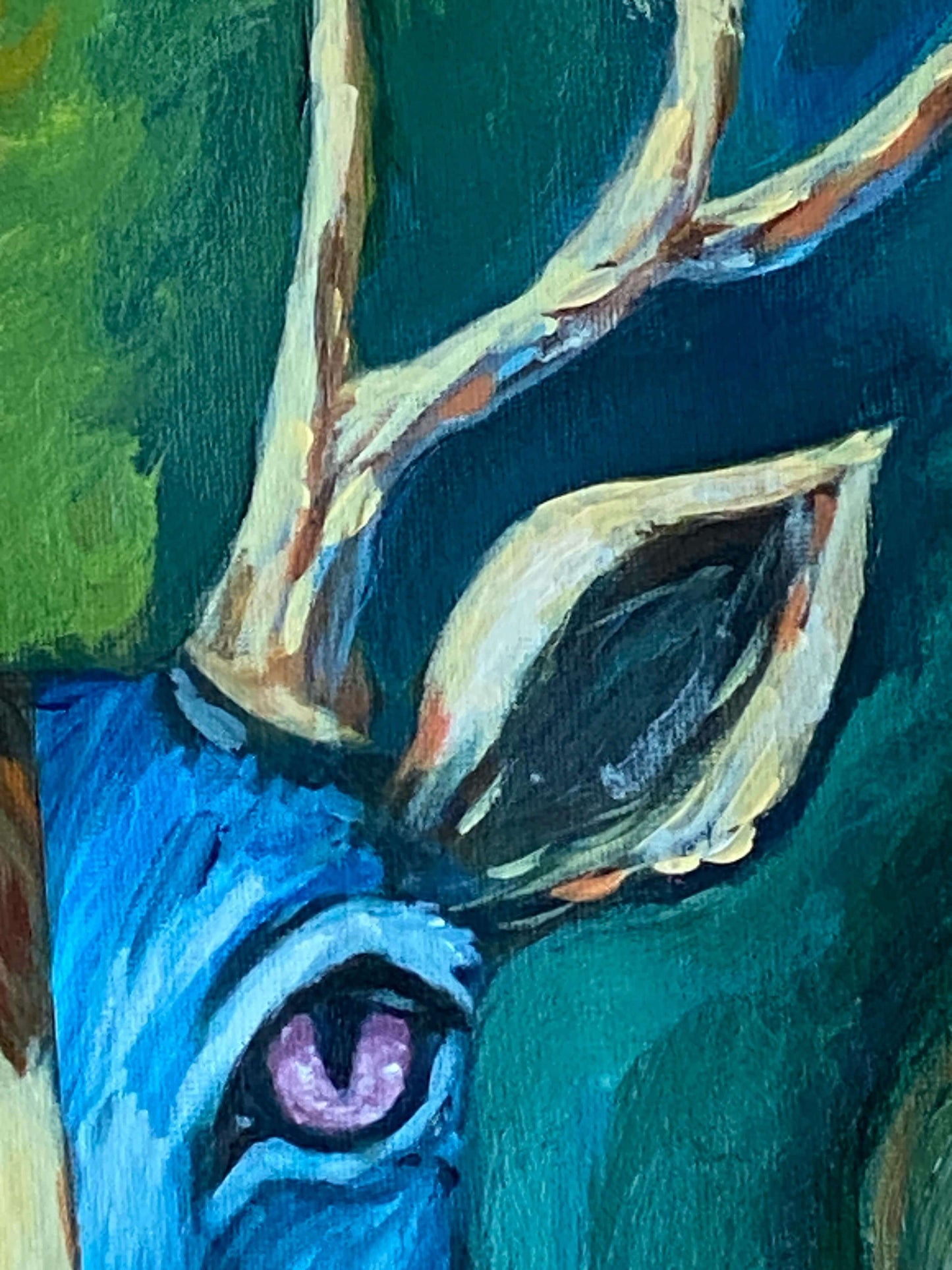 Ojos del bosque – Ciervo