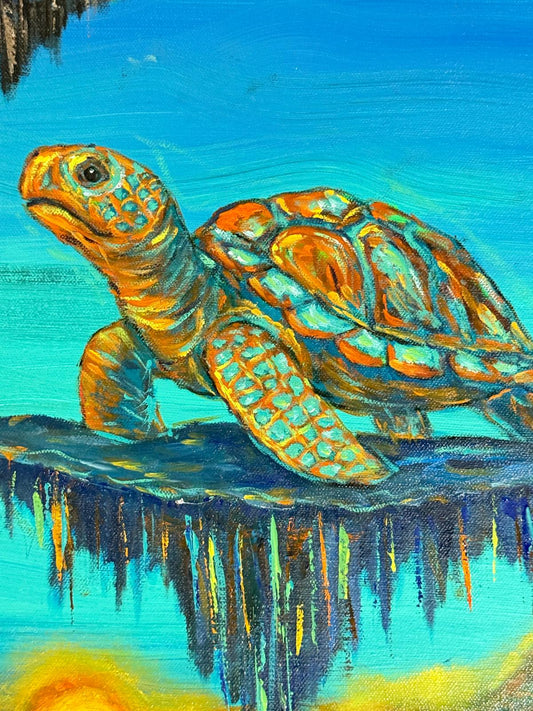 Turtle: Suspended Destinies