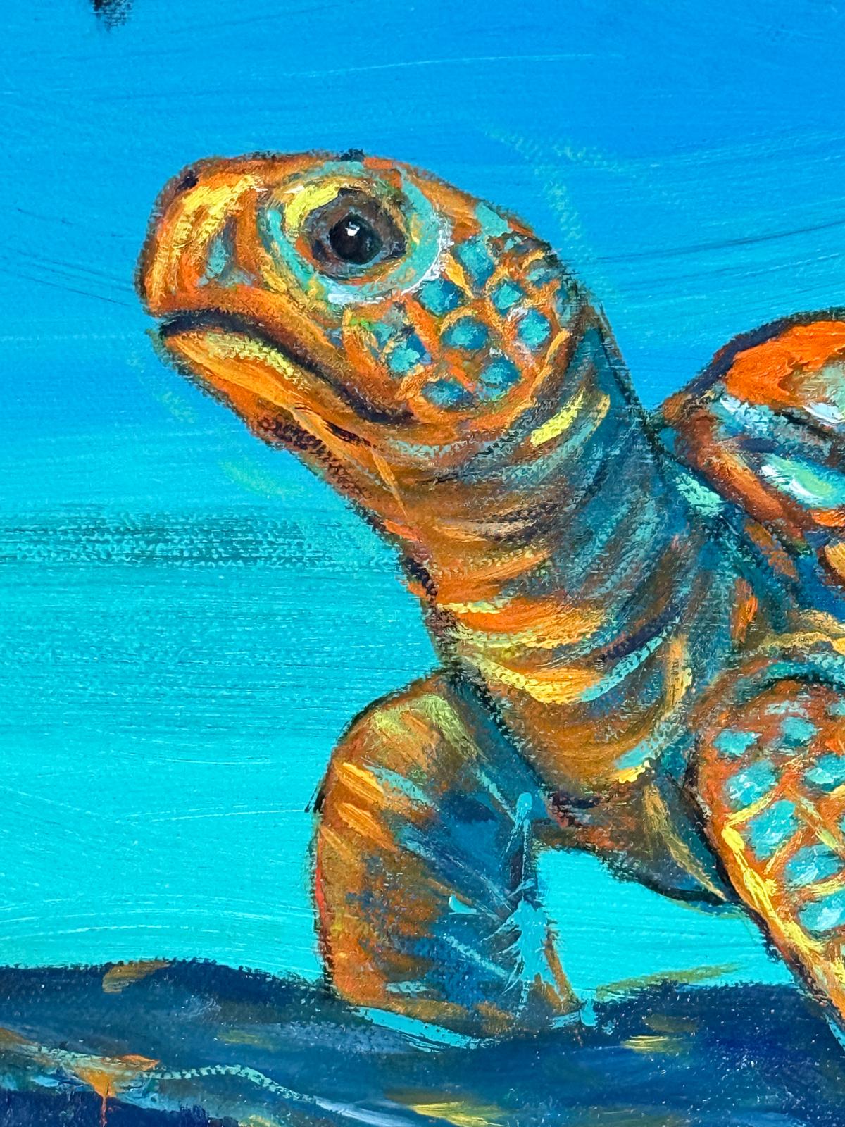 TORTUGA: destinos suspendidos